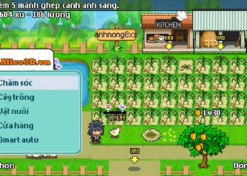 Cách Up Level Game Avatar Nhanh Nhất