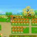Cách Up Level Game Avatar Nhanh Nhất